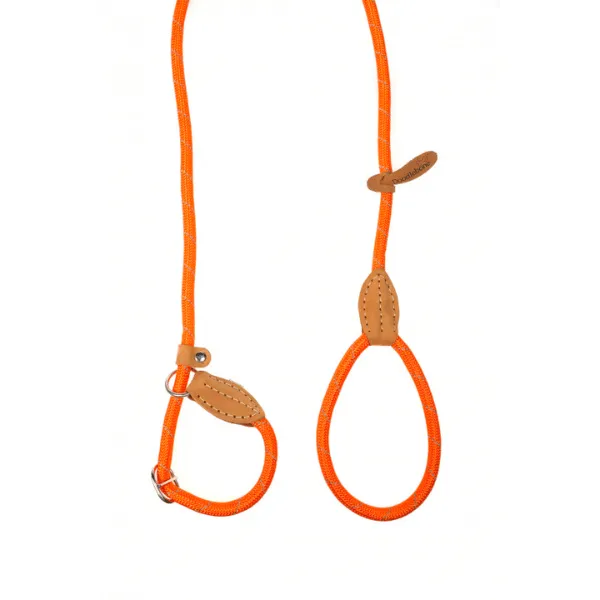 Doodlebone Slip Leads