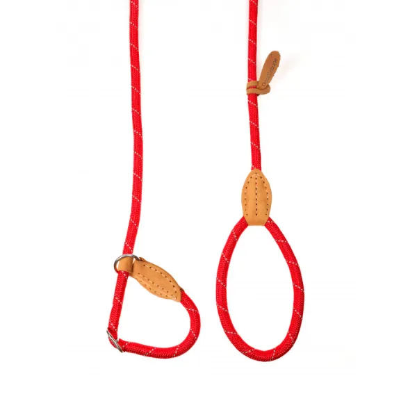 Doodlebone Slip Leads
