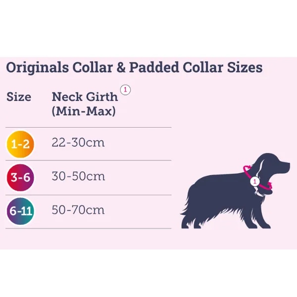 Doodlebone Slip Leads